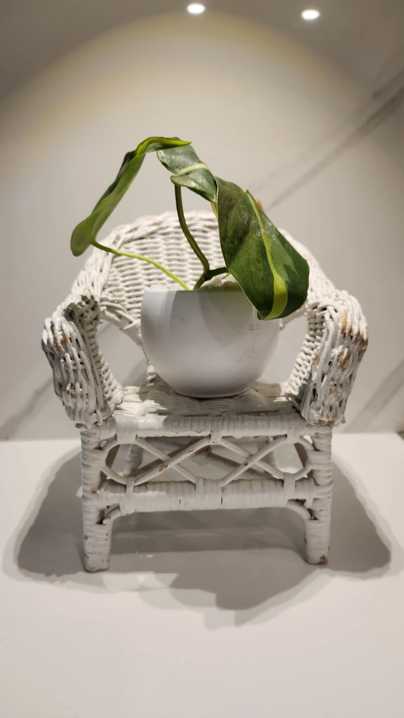 Mini Wicker Chair Planter with Pothos – $9 🌿🪑