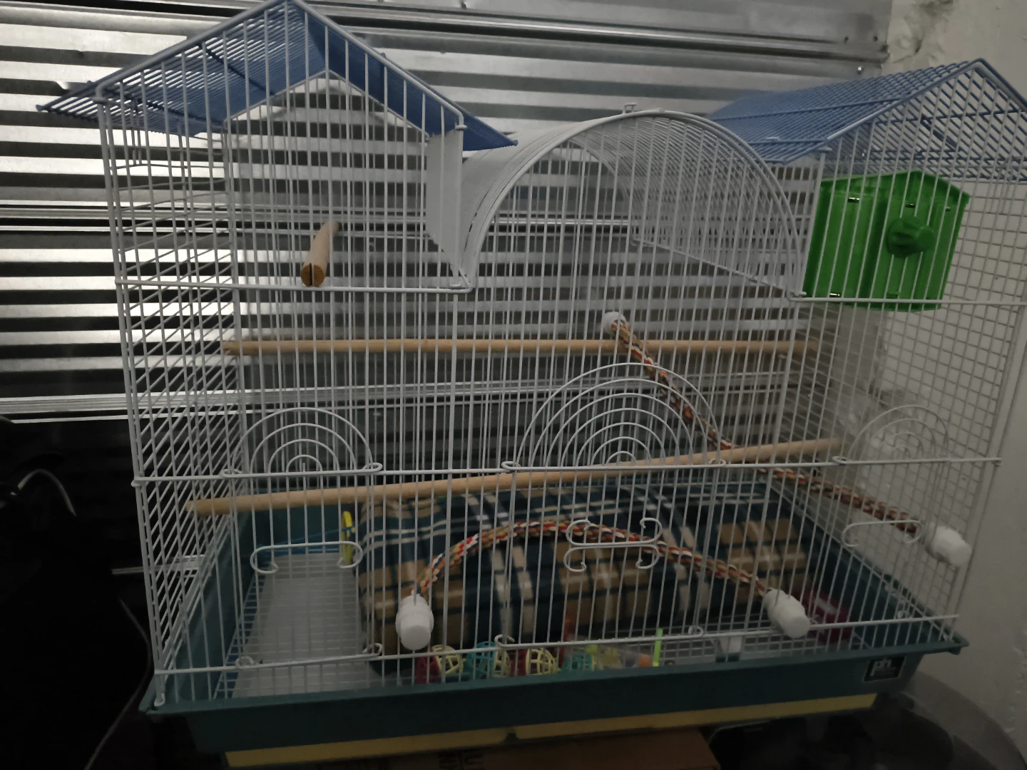 Bird Cage with Perches and Toys
