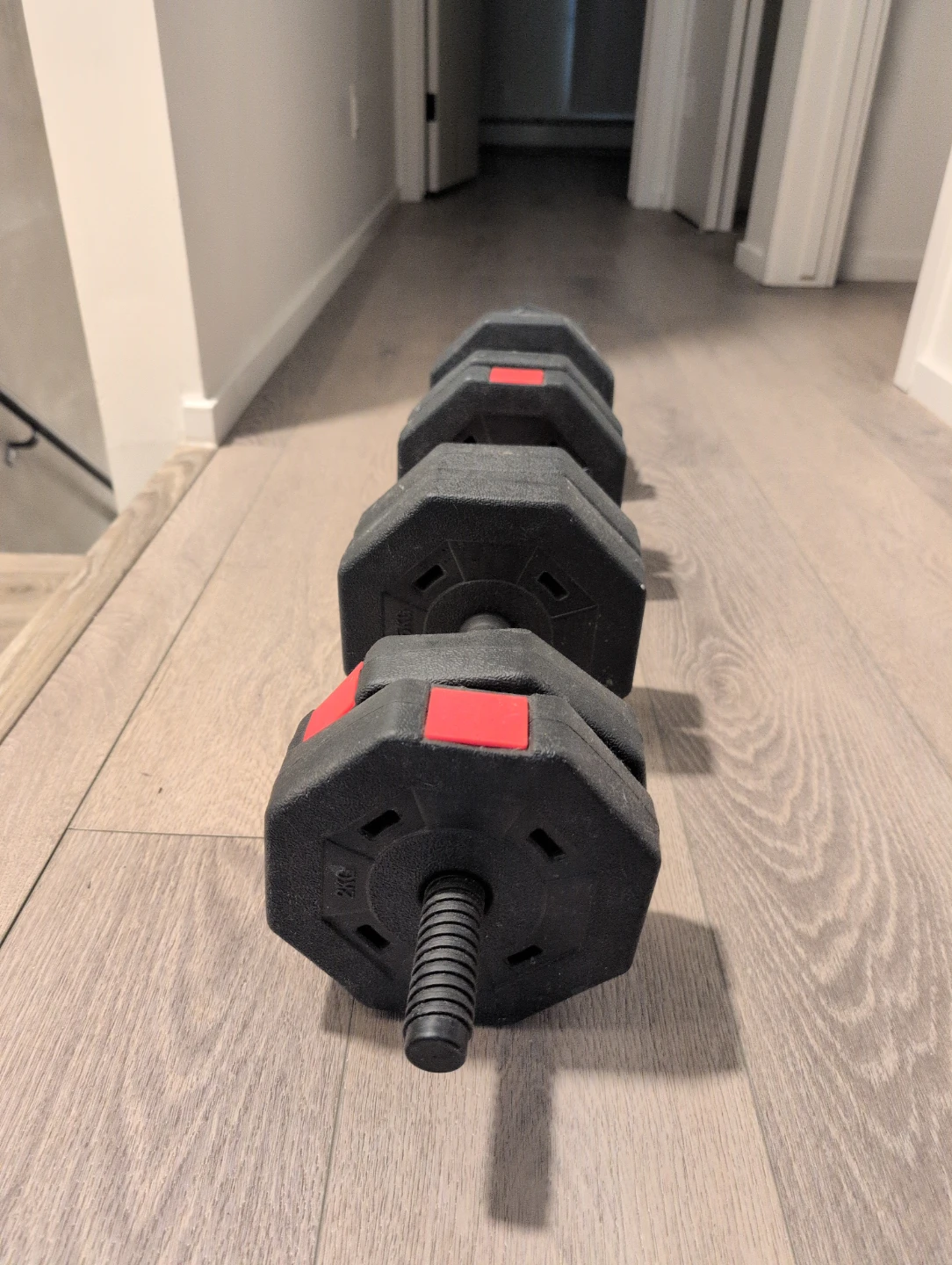 10 Dumbbells and 1 bar