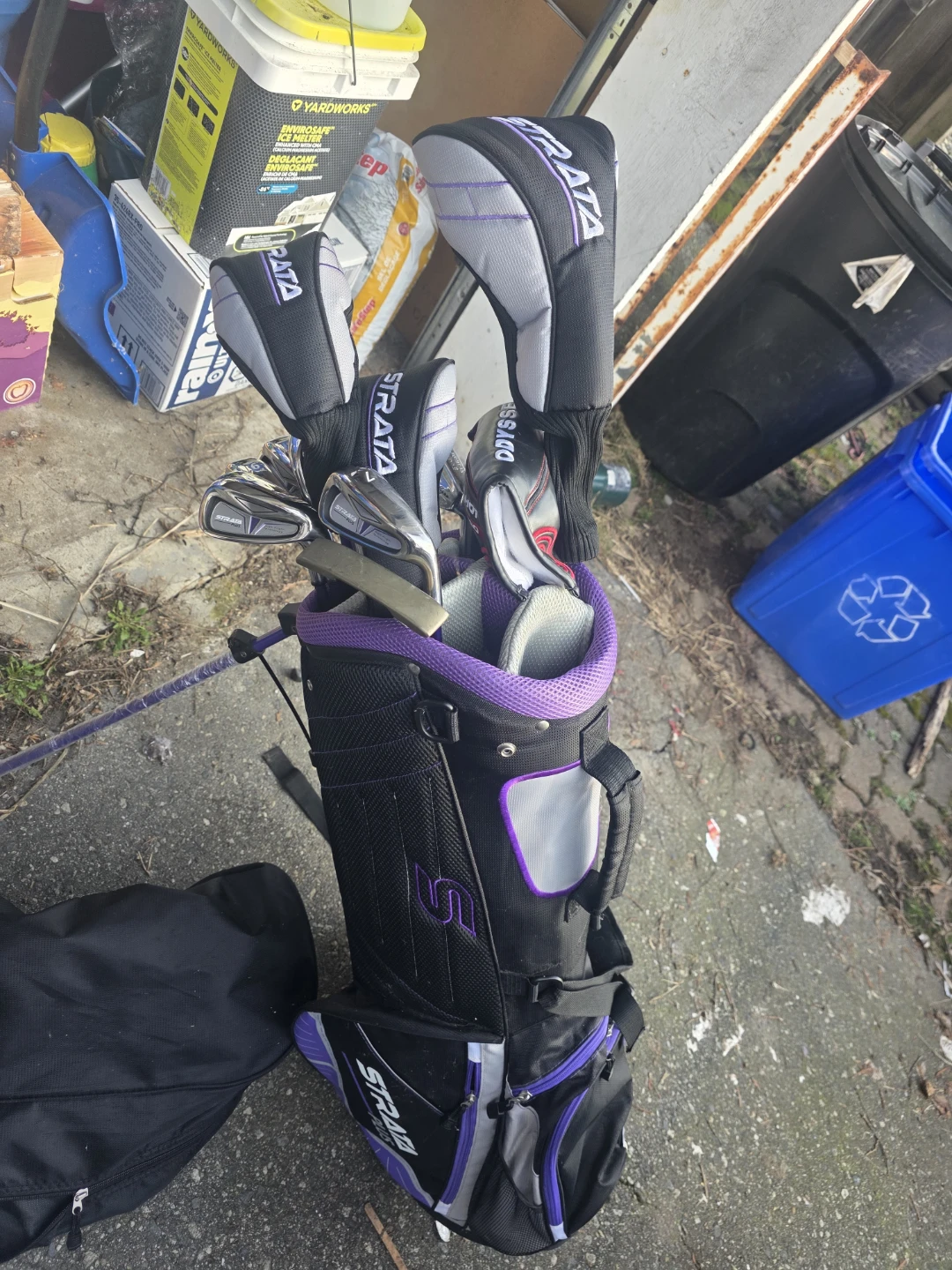 Strata Golf Club Set with Bag