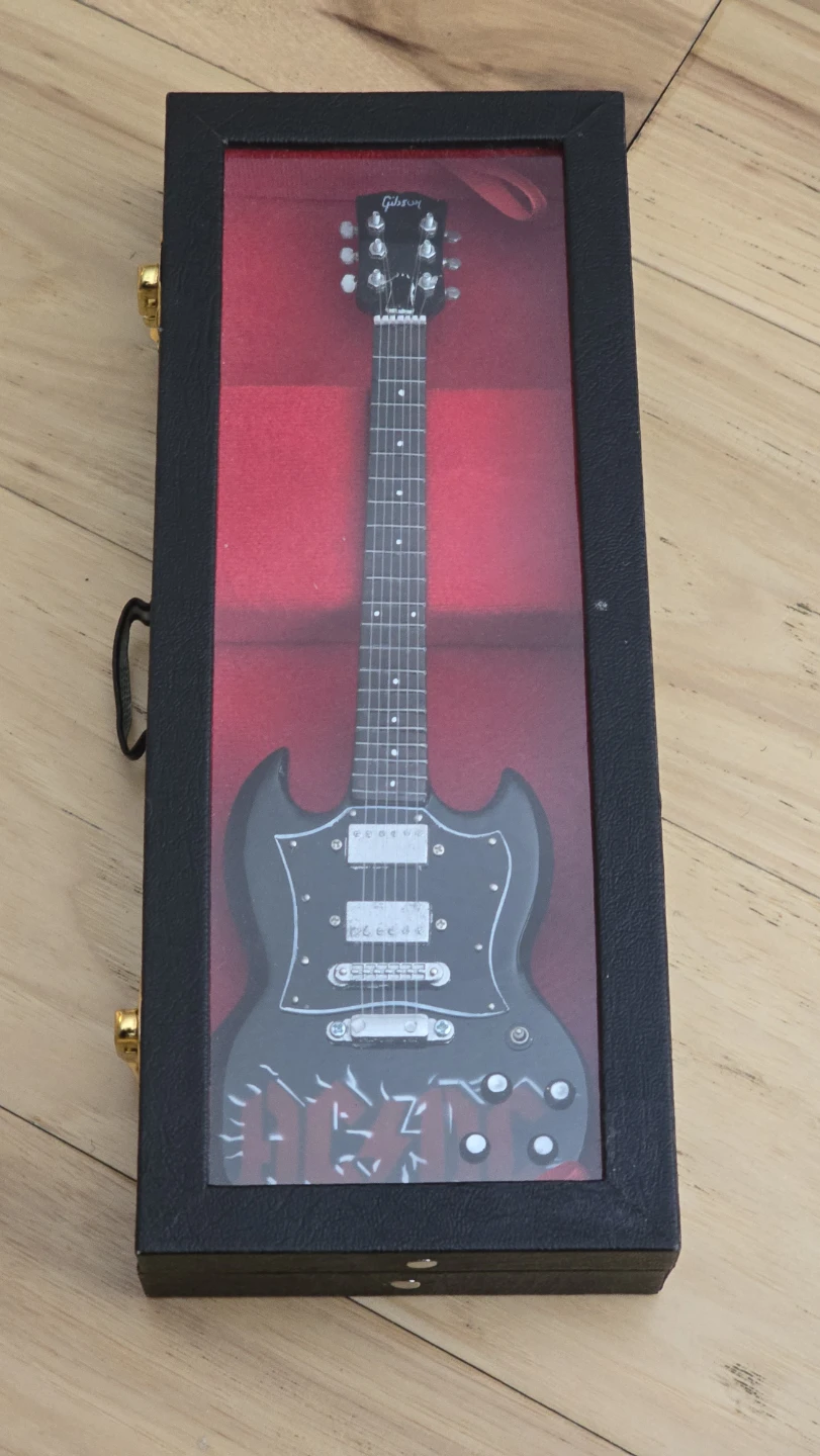 Gibson SG Electric Guitar Display Case