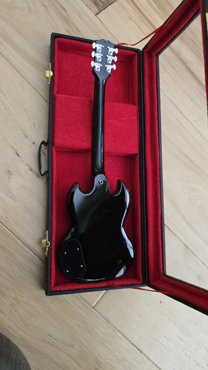 Gibson SG Electric Guitar Display Case - photo 3