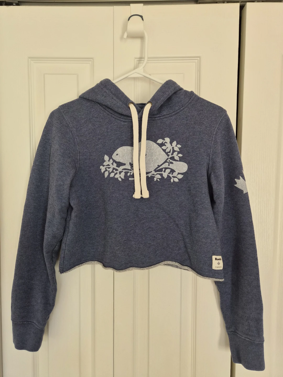 Roots Cropped Hoodie XXS