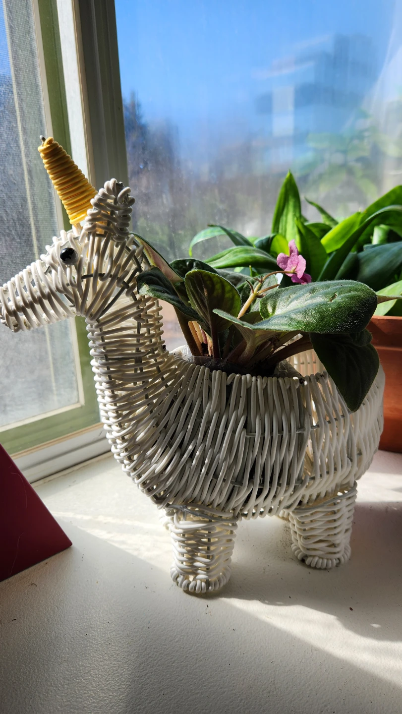 Wicker unicorn 🦄 planter with African Violet plant - photo 2