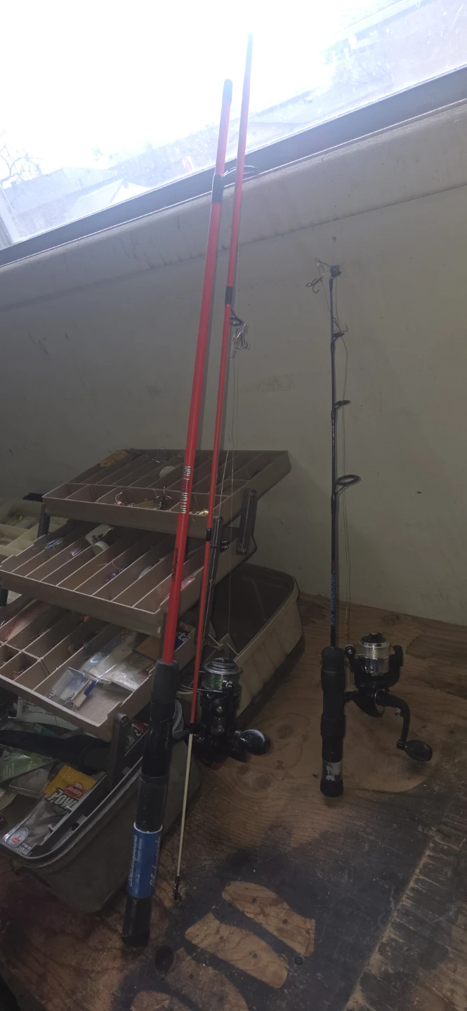Two Fishing Rods with Reels