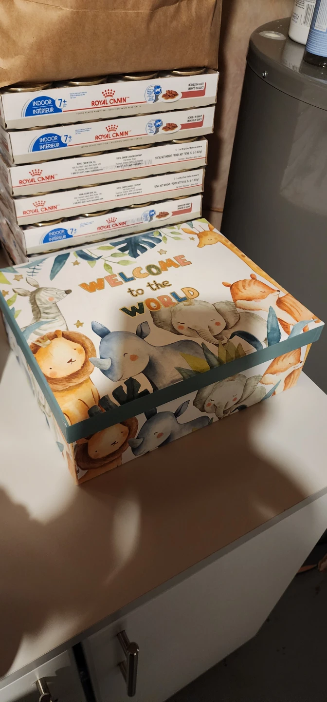 Newborn box