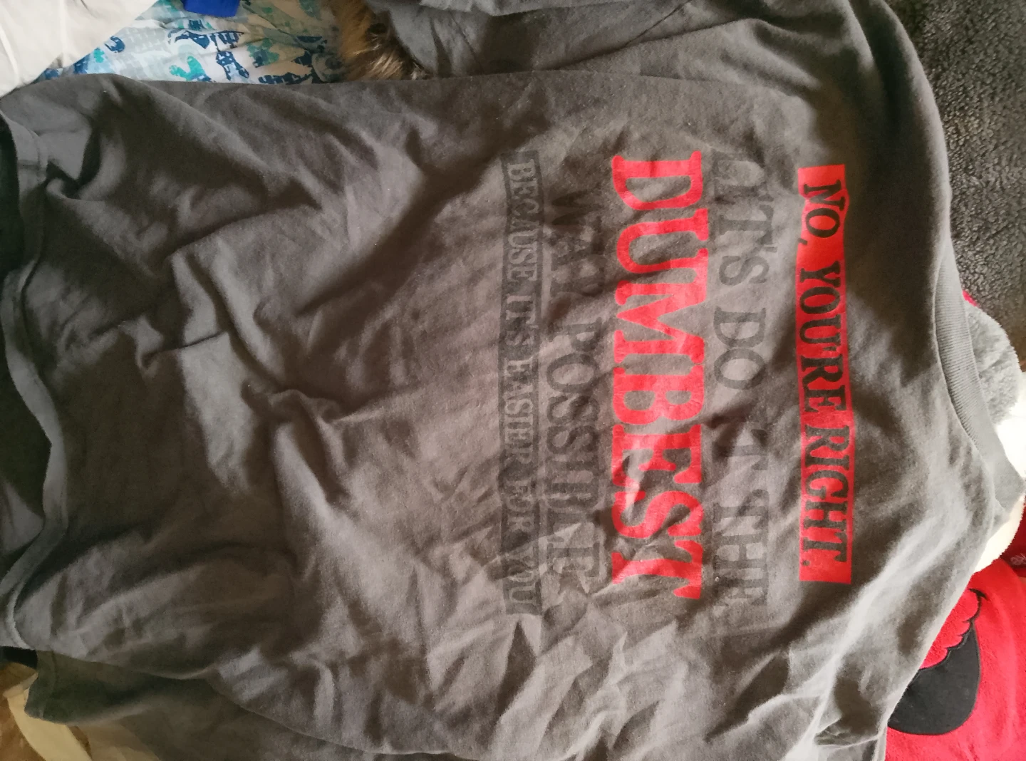 Graphic T-Shirt - NO, YOU'RE RIGHT. IT'S DO DUMBEST.