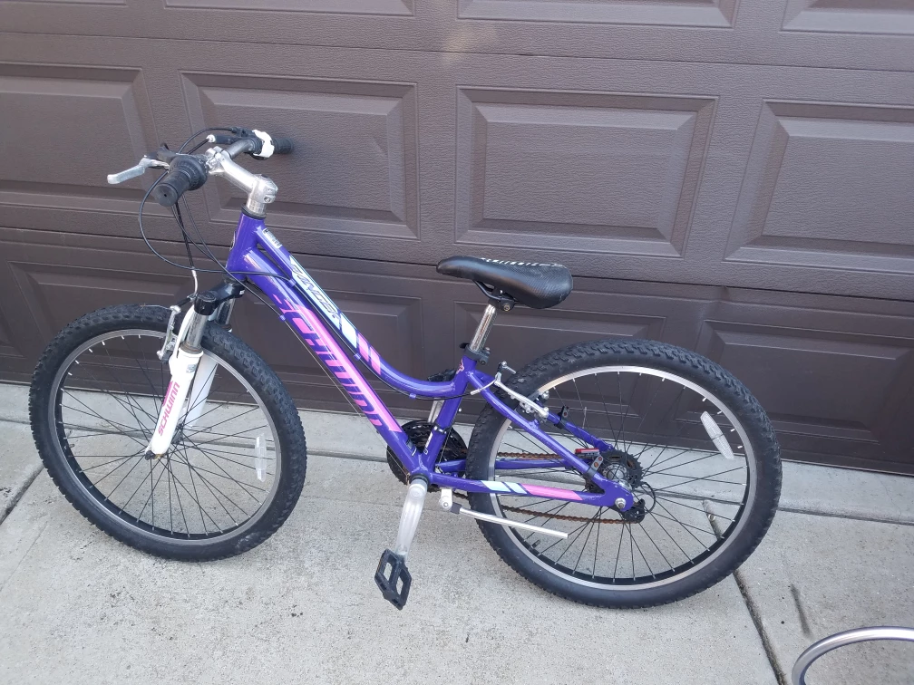Schwinn Girls Purple Mountain Bike - 20" Wheels