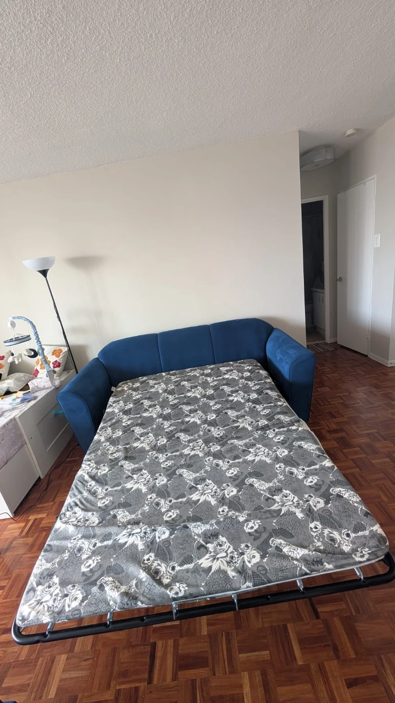 Blue Sofa Bed