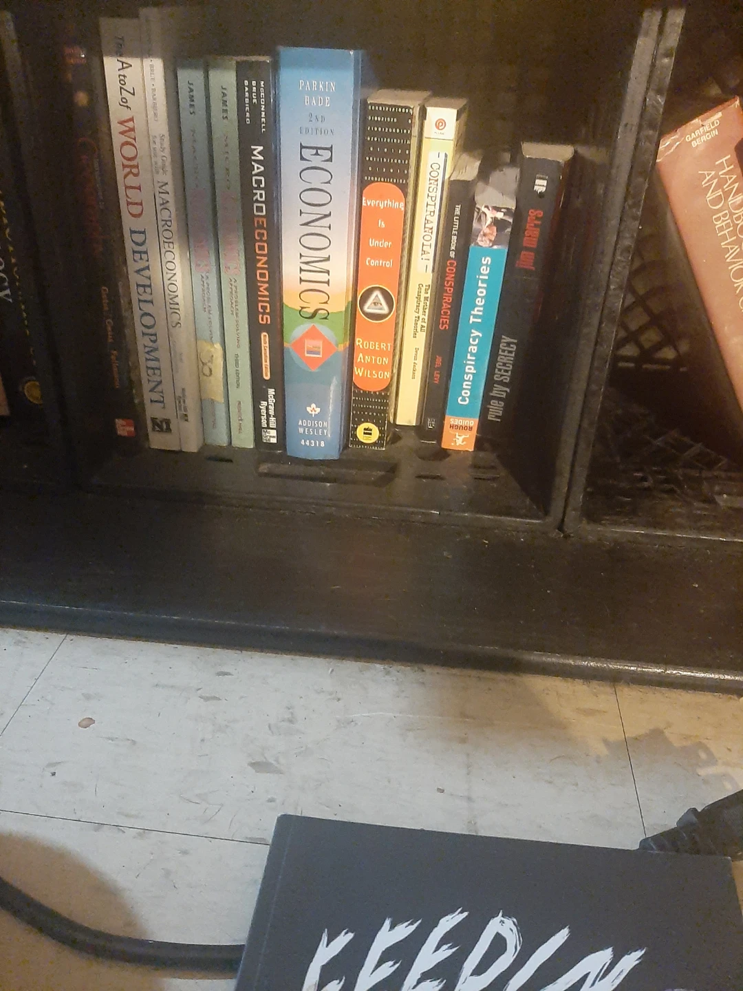 Assorted Psychology, Politics, Law, and Economics Textbooks - photo 5