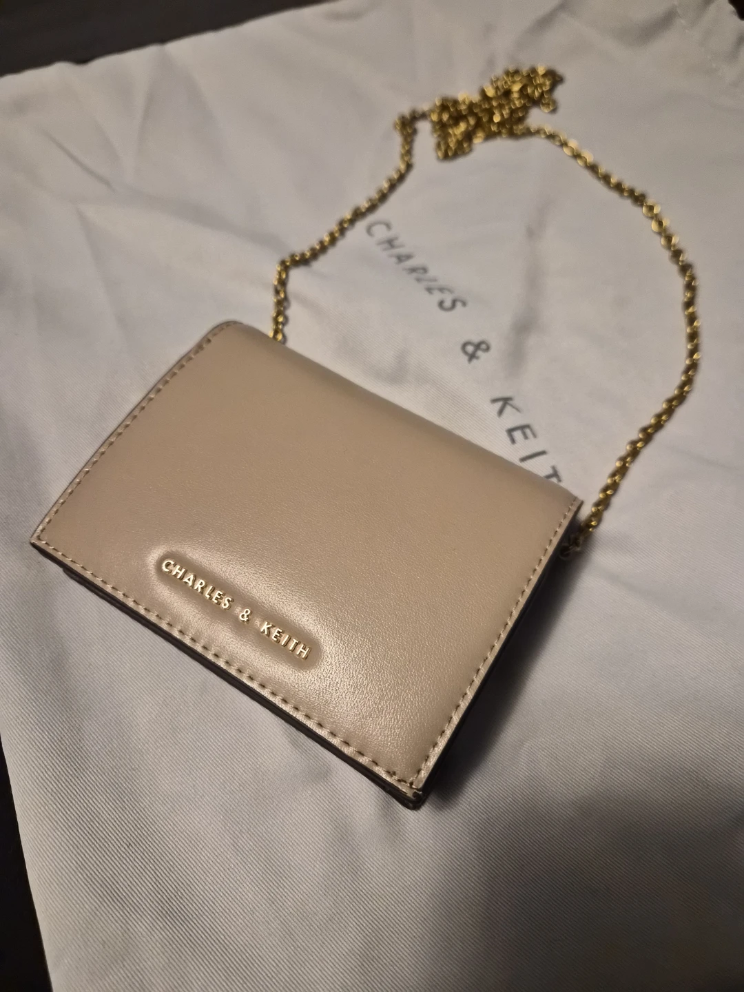 Charles & Keith Card Holder with Chain