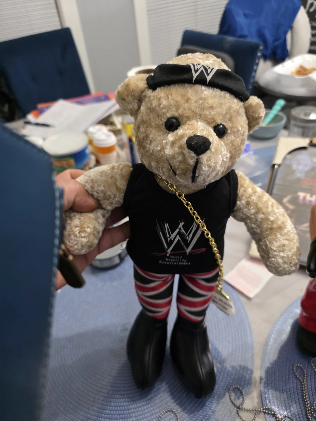 WWE World Wrestling Entertainment Teddy Bear
