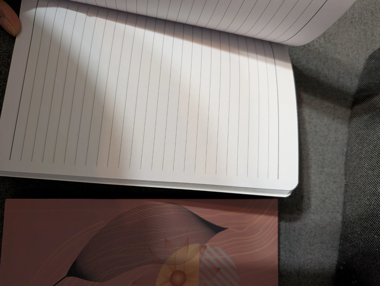 Set of 2 Lined Notebooks with Artistic Covers $5