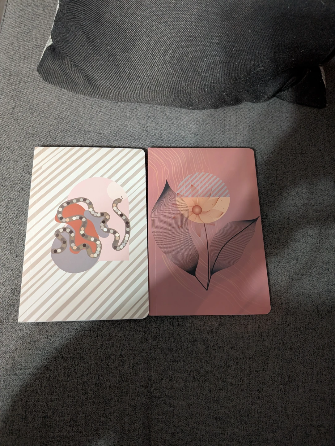 Set of 2 Lined Notebooks with Artistic Covers $5 - photo 2