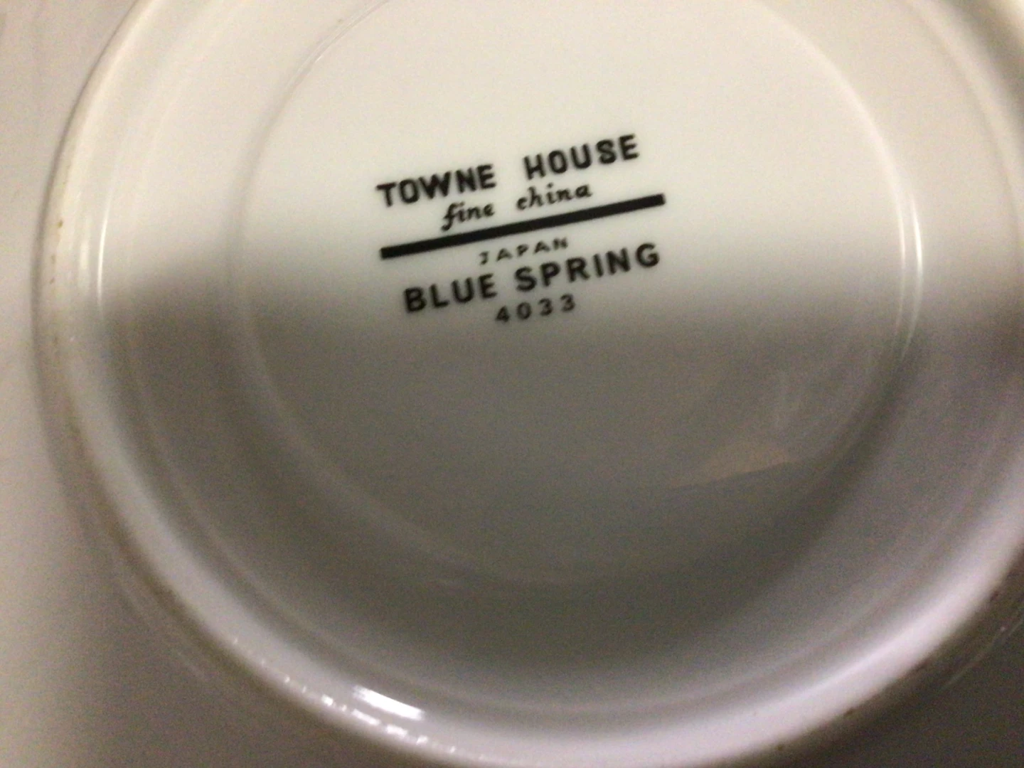 Towne House Blue Spring 4033 edition - photo 2