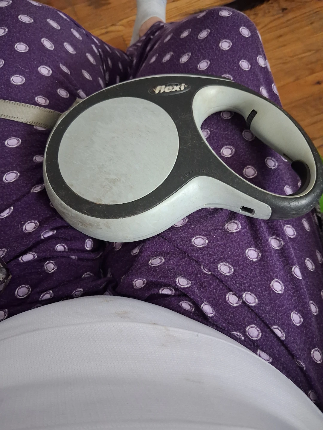 Flexi Retractable Dog Leash