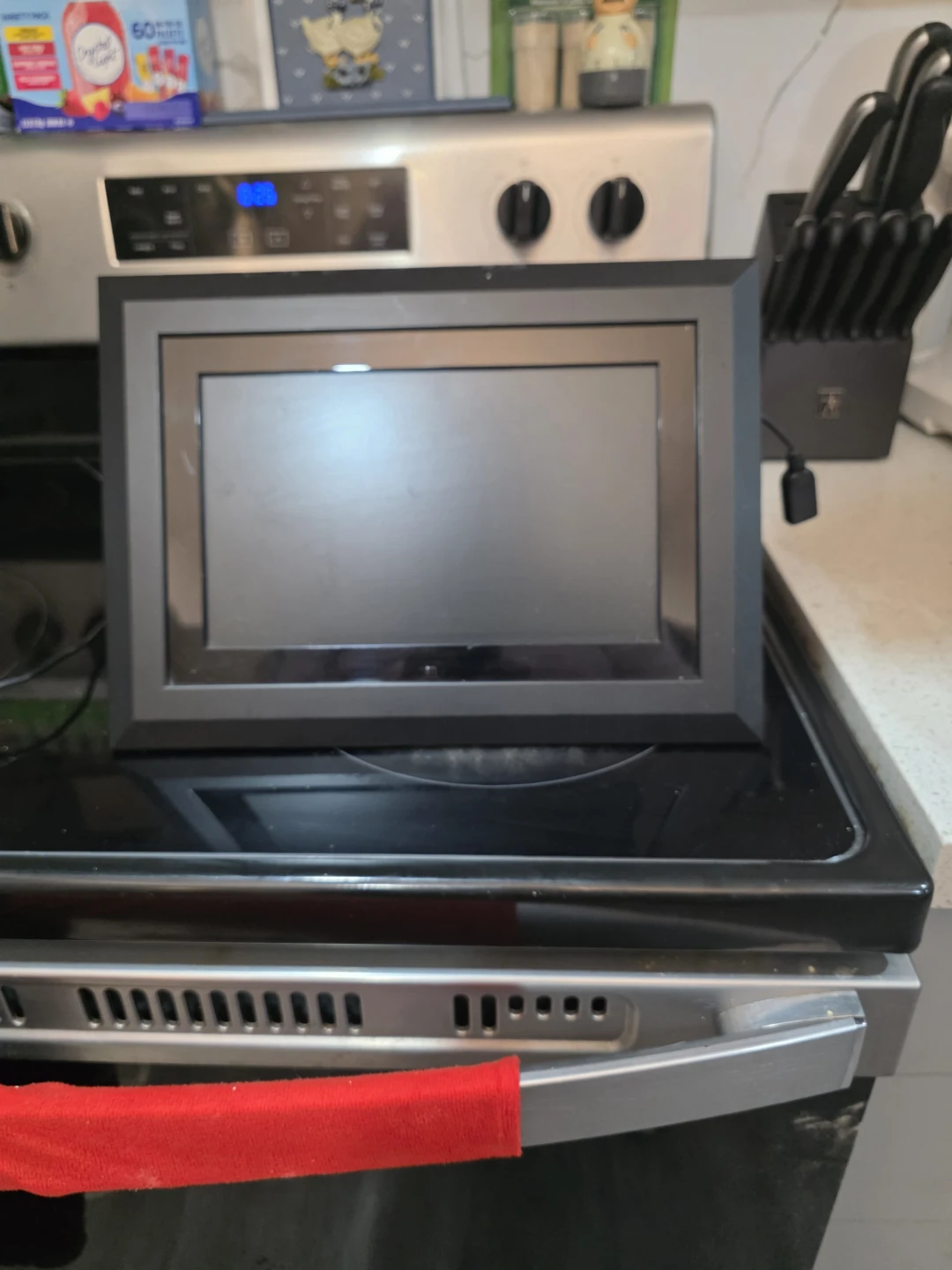 Kodak EasyShare EX1011 Digital Picture Frame - photo 3
