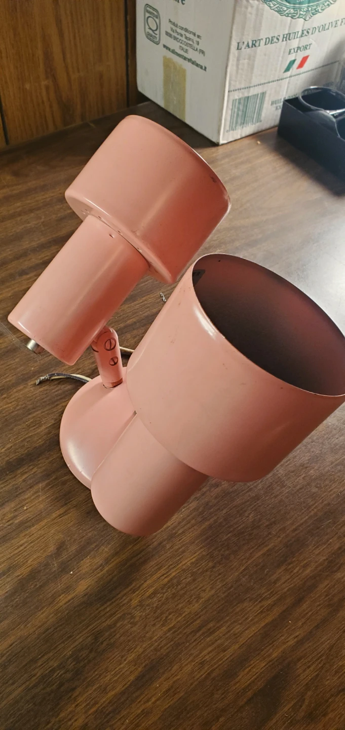 Pink Double Headed Adjustable Lamp