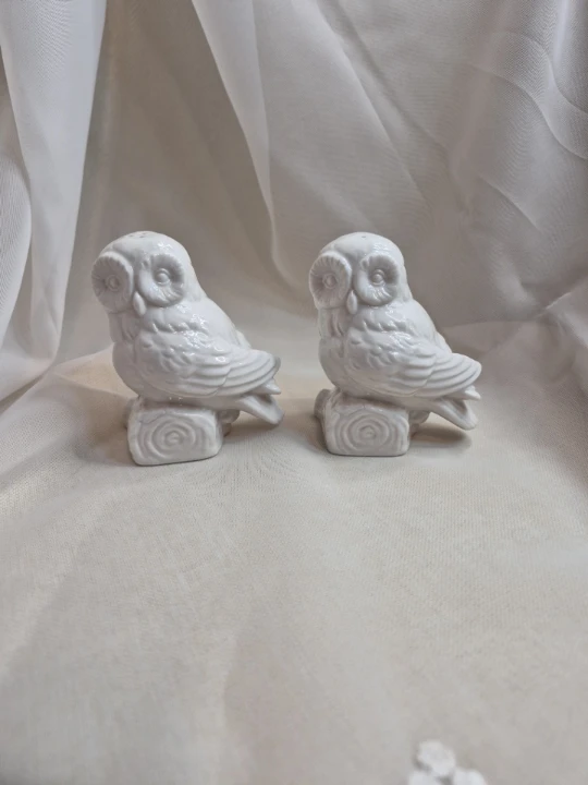 So Cute Pair of White Ceramic Owl Salt & Pepper Shakers