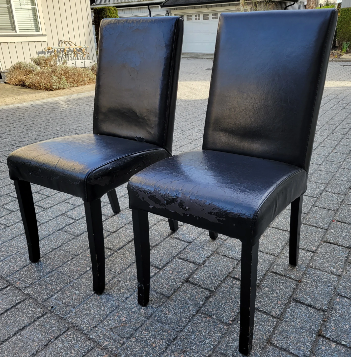 Black Dining Chairs (Set of 2)
