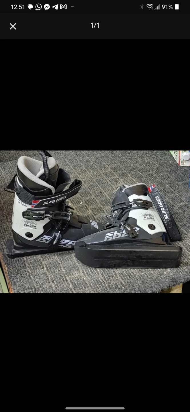 Halden SLED DOGS Skates