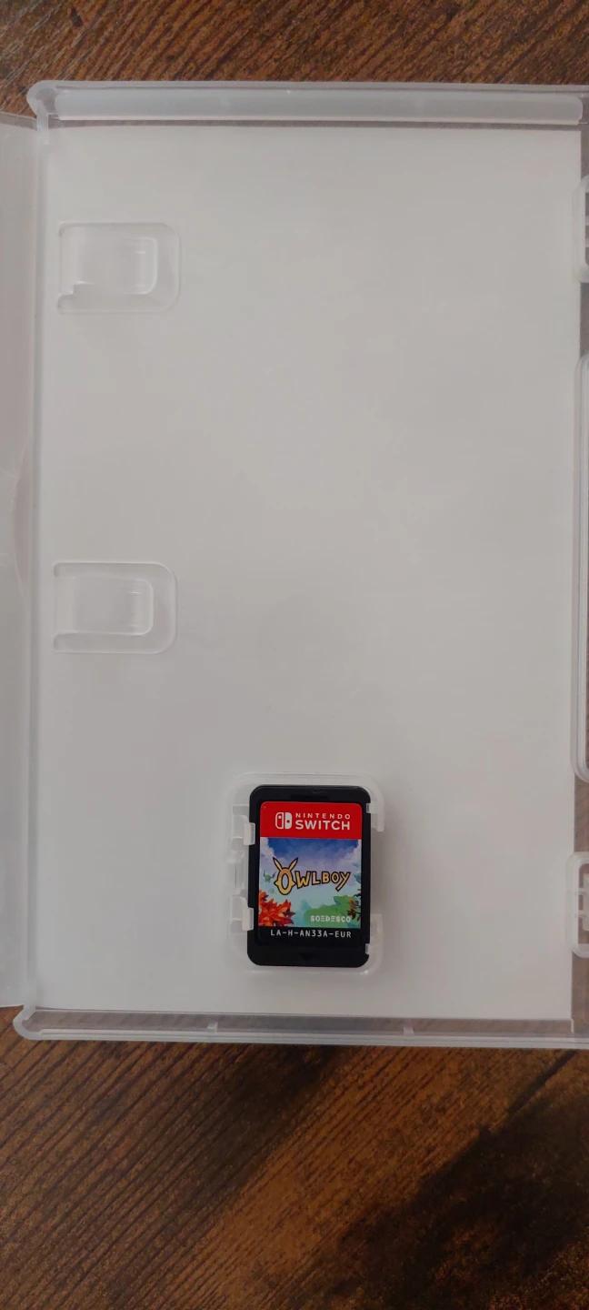 Owlboy Nintendo Switch Game - photo 2
