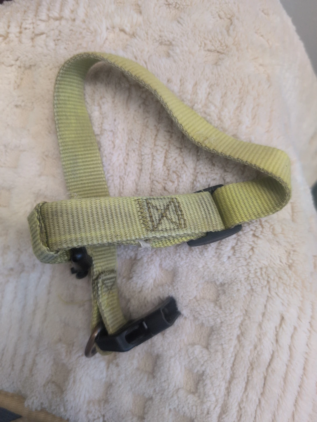 Yellow Dog Harness