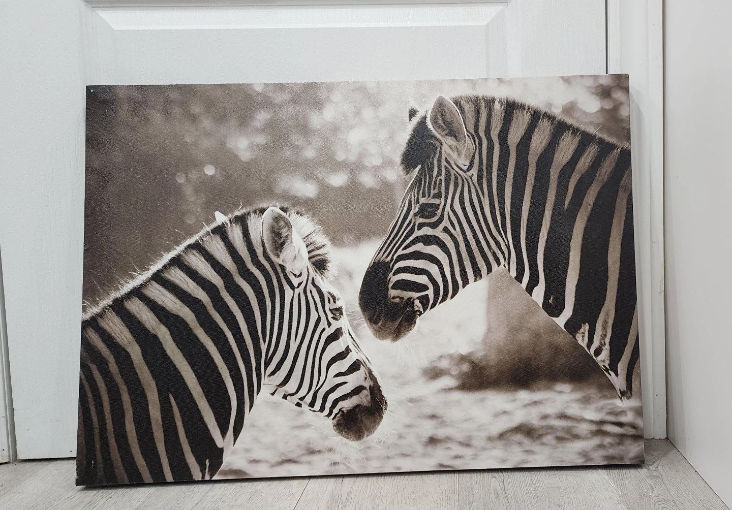Canvas Print - Two Zebras Close-up