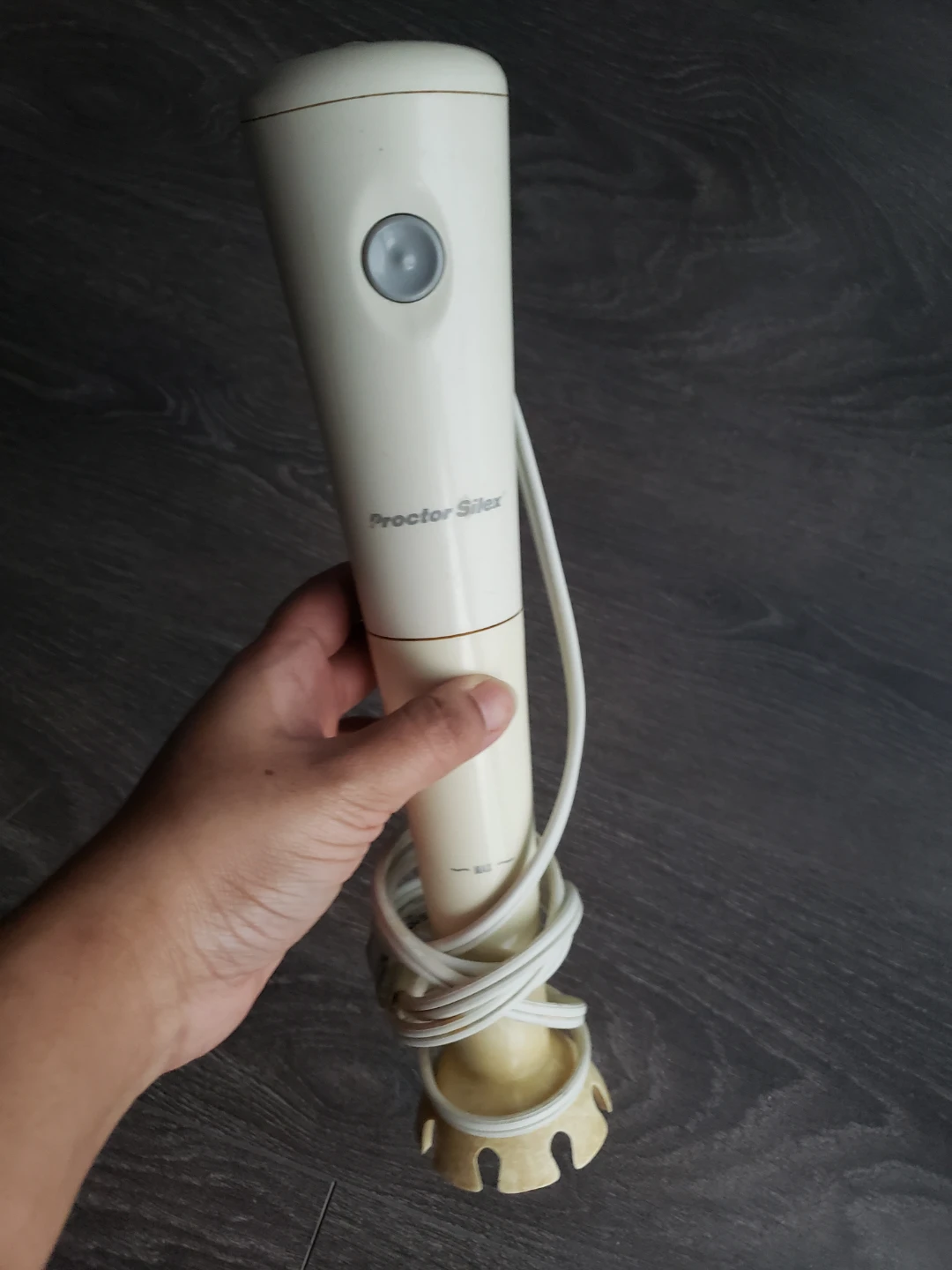 Proctor Silex Immersion Blender