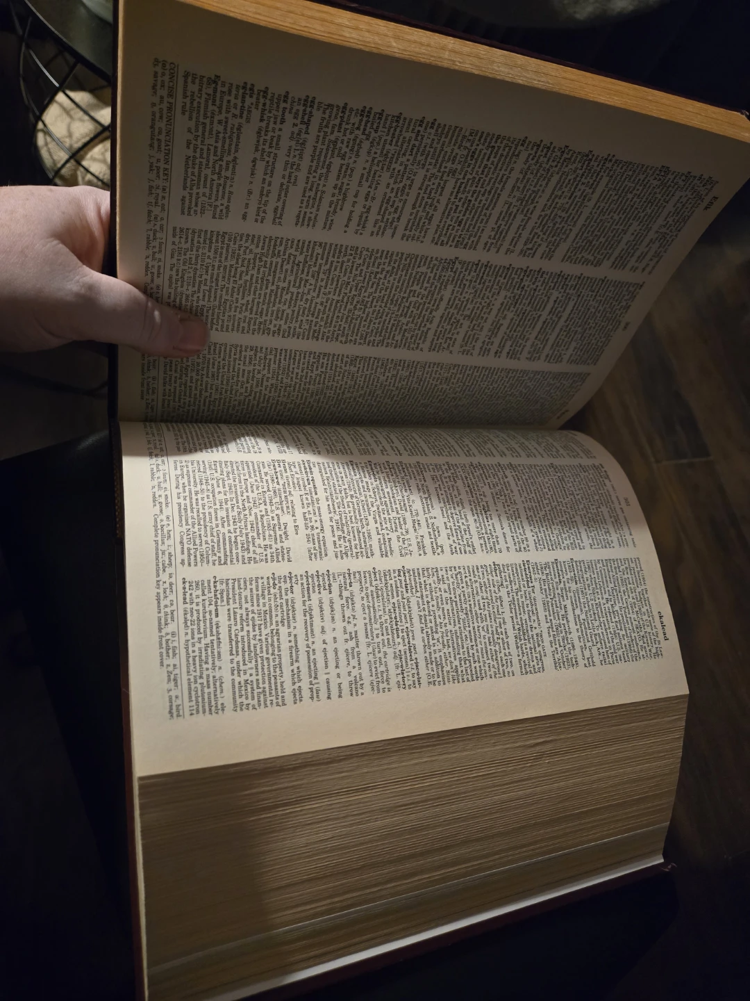 The New Lexicon Webster's Encyclopedic Dictionary - photo 3