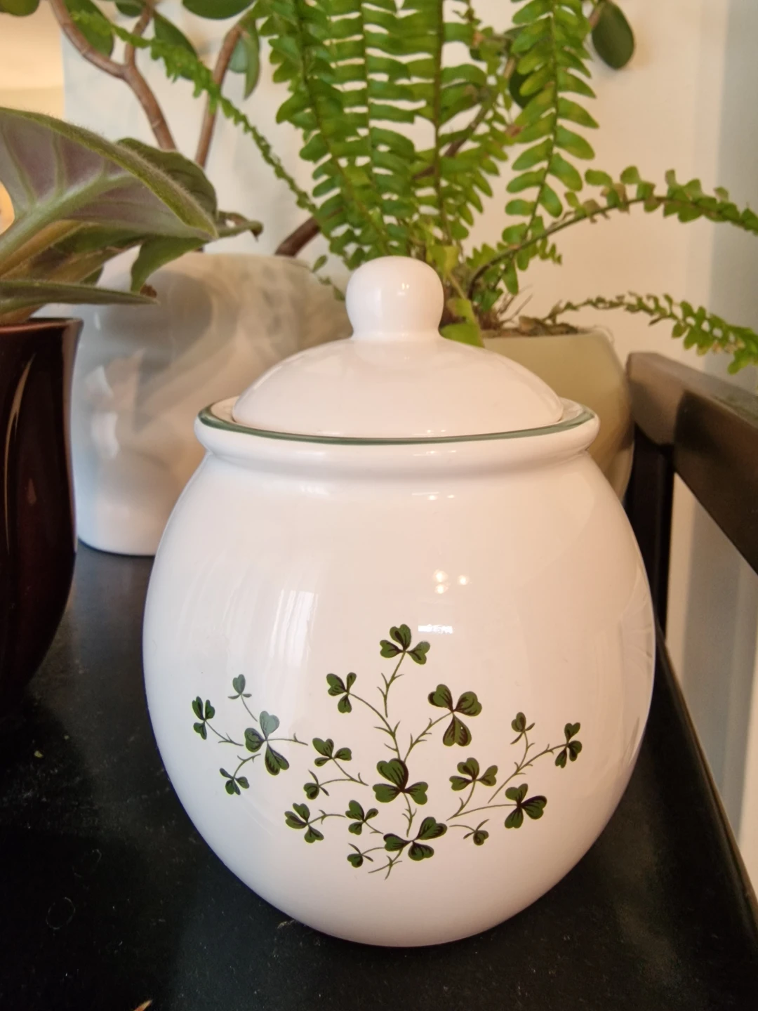 Bewley Irish Imports Clover Jar with Lid