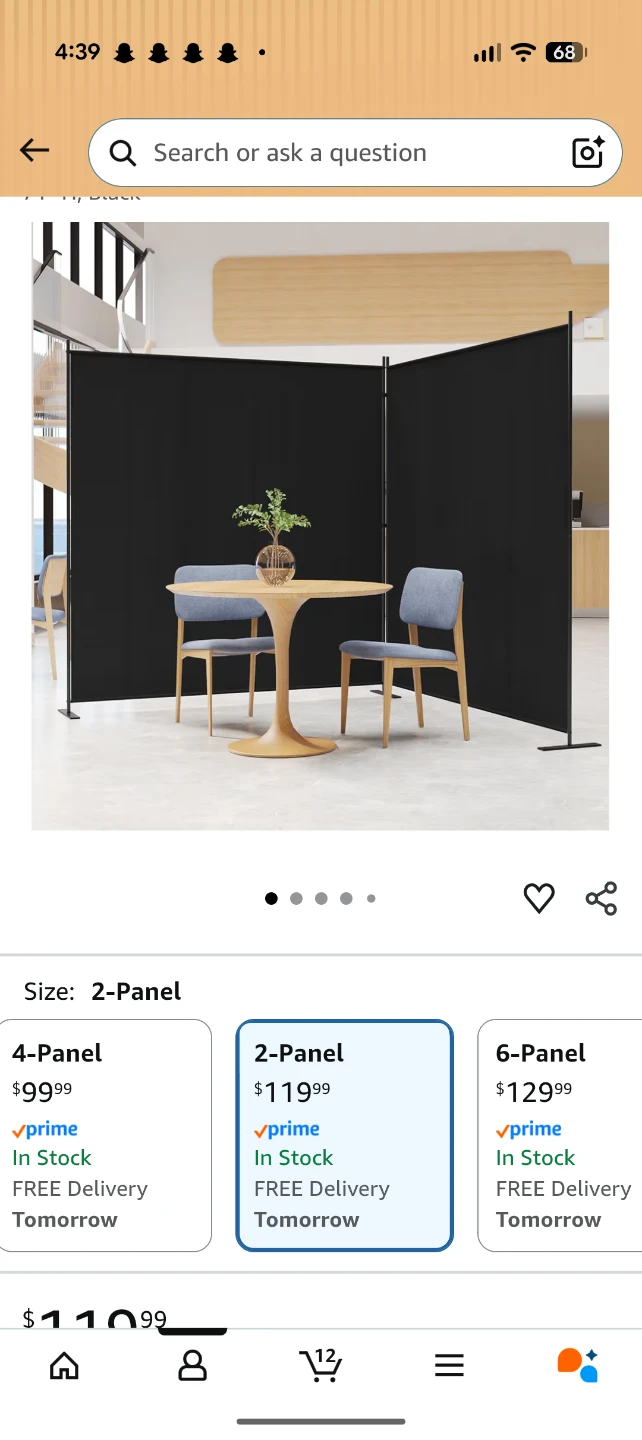 2-Panel Black Room Divider Screen