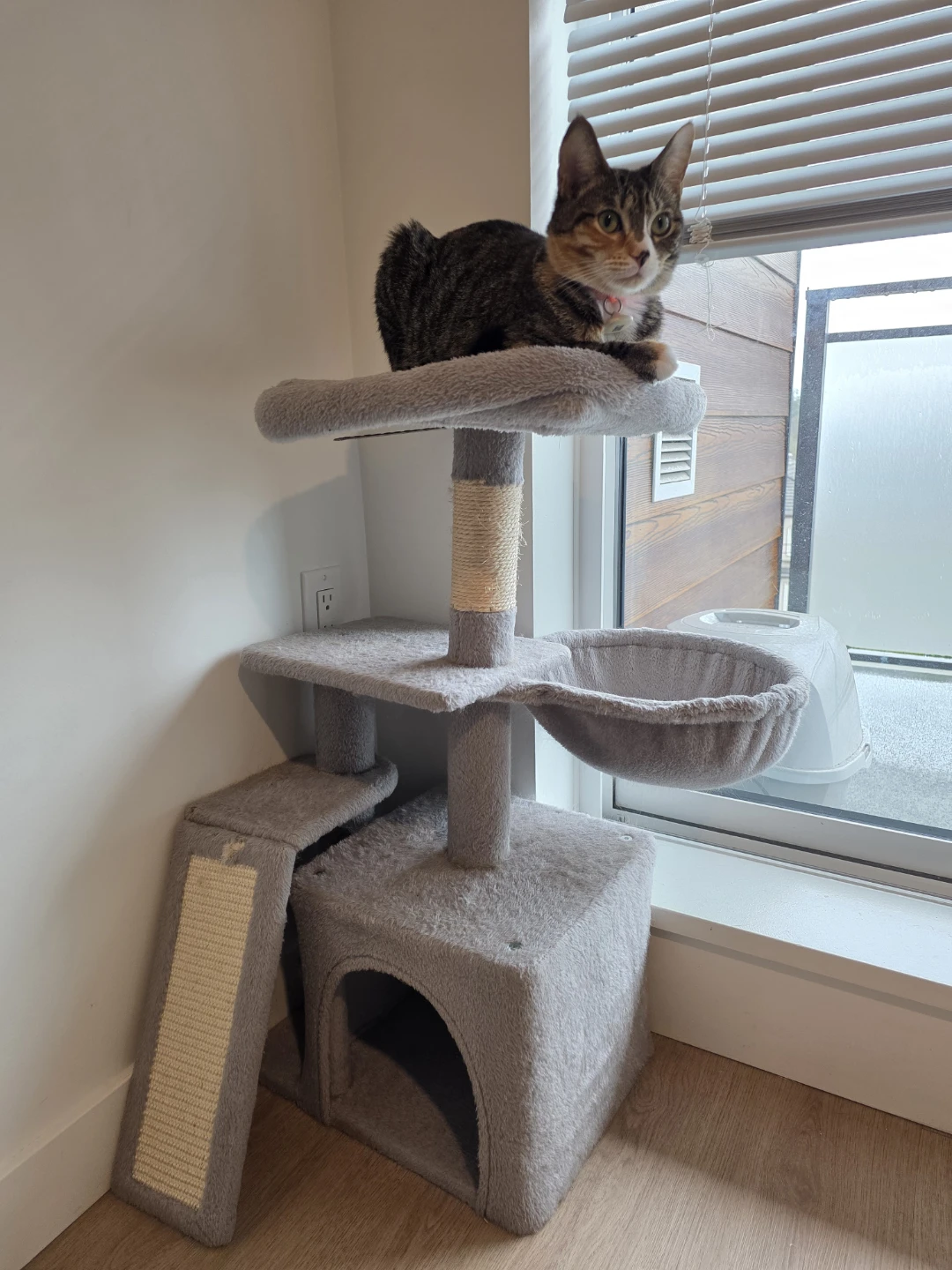 Grey Cat Tree  with Hammock and Ramp