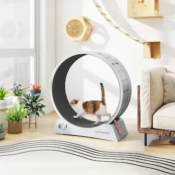 Cat Treadmill Exercise Wheel - photo 4