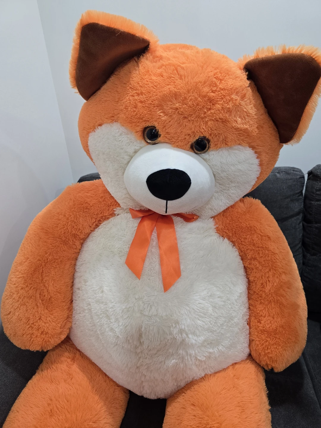 Teddy