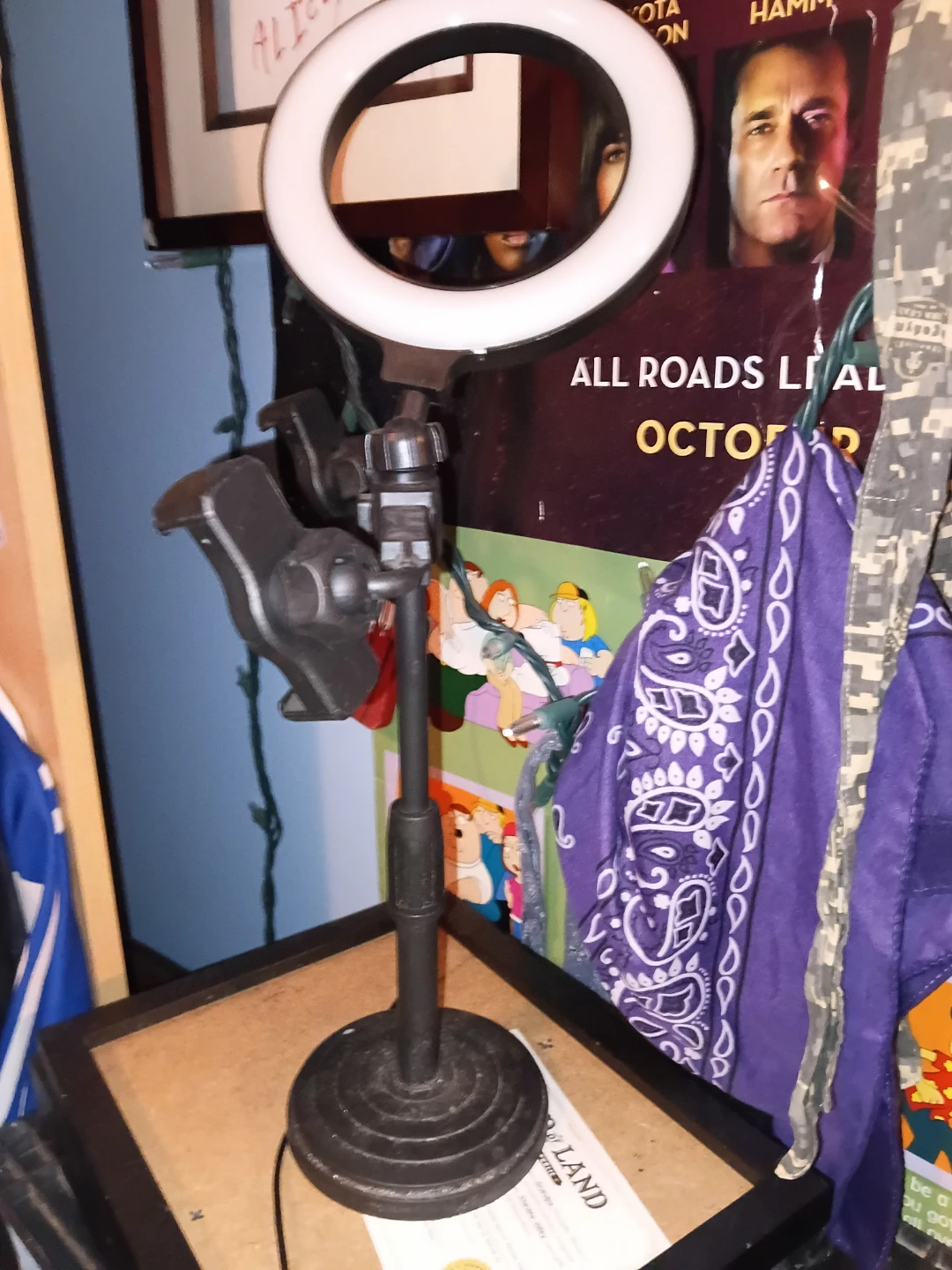 Desktop Ring Light with Phone Holder