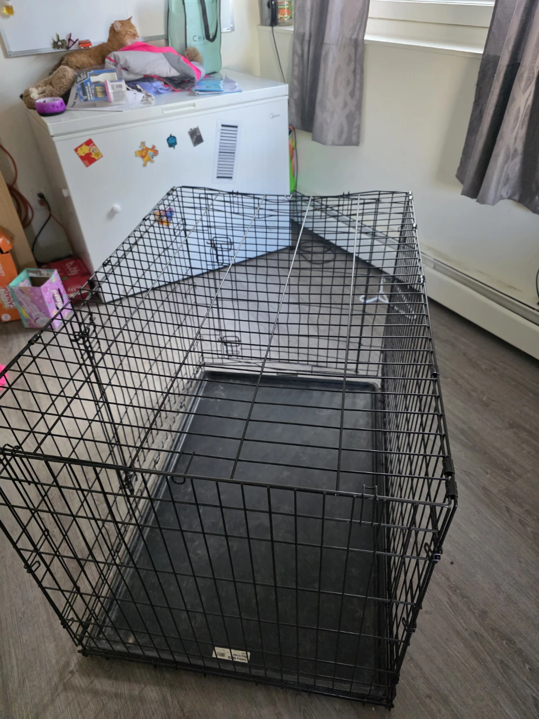 Black Wire Dog Crate - photo 4
