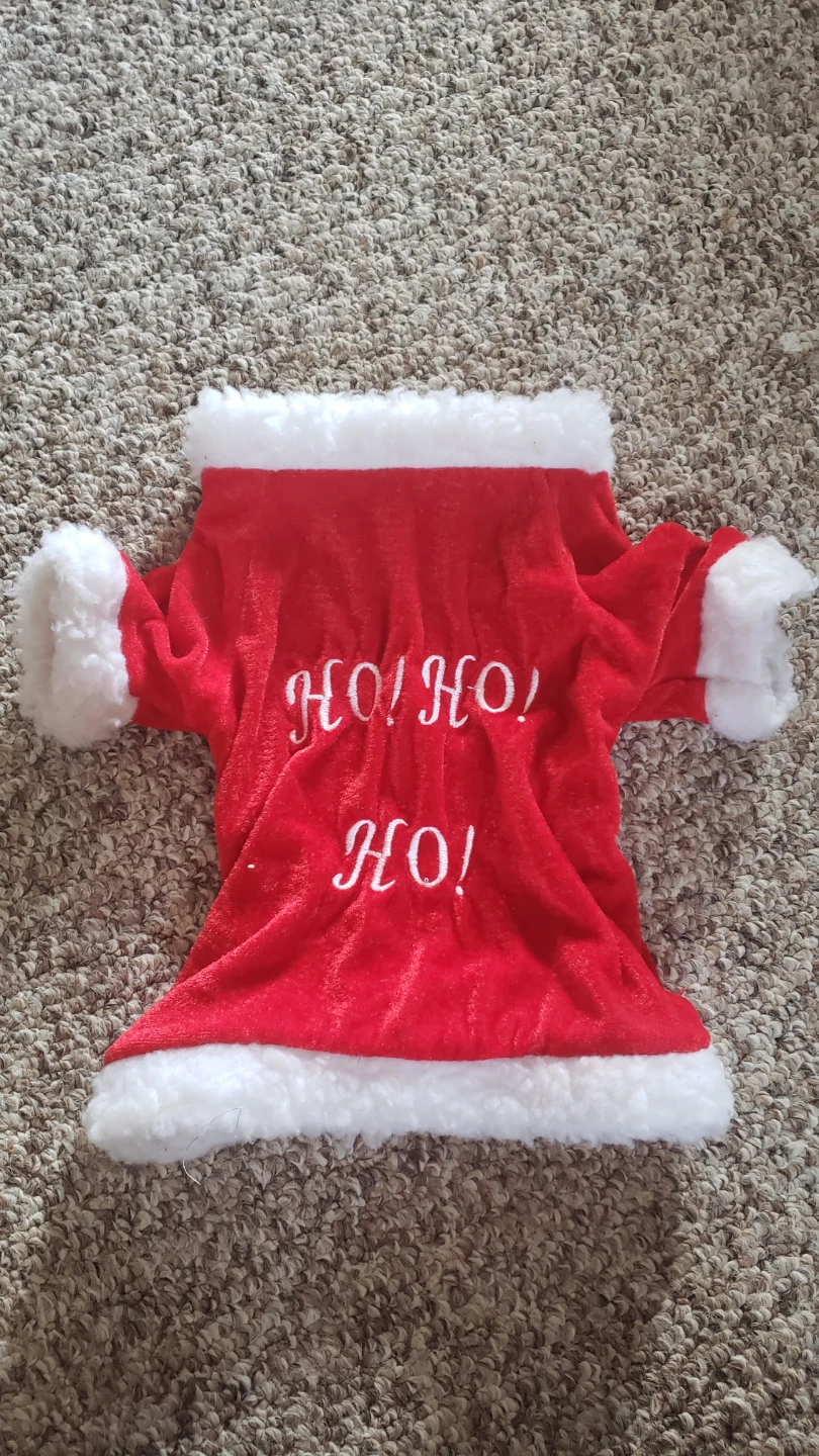 Christmas Santa Dog Costume