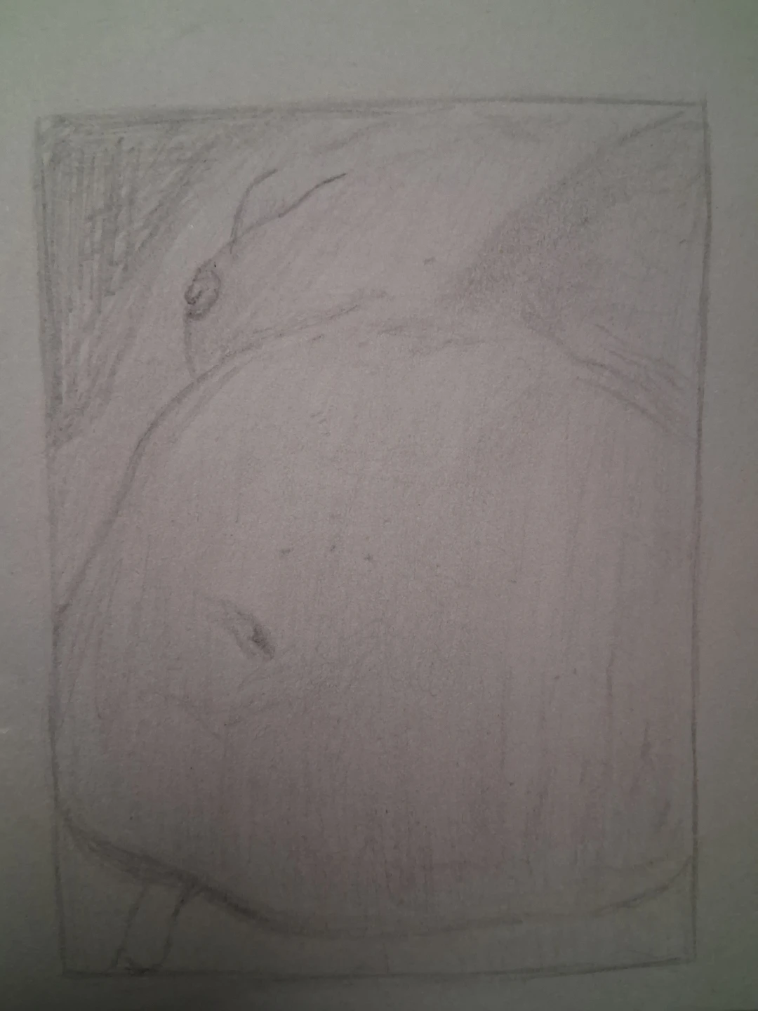 Art - photo 2