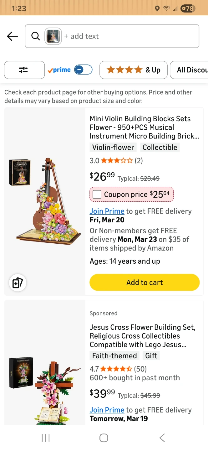 SDVWSF Mini Violin Flower Building Blocks Set