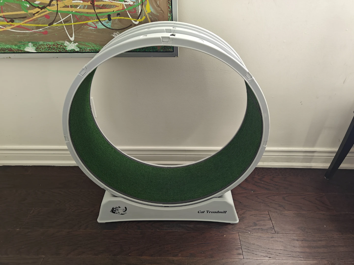 Cat Treadmill Wheel