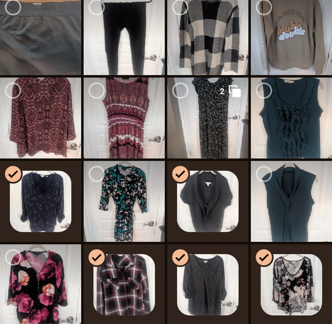 20 piece Women's Clothing Bundle ~ L/XL