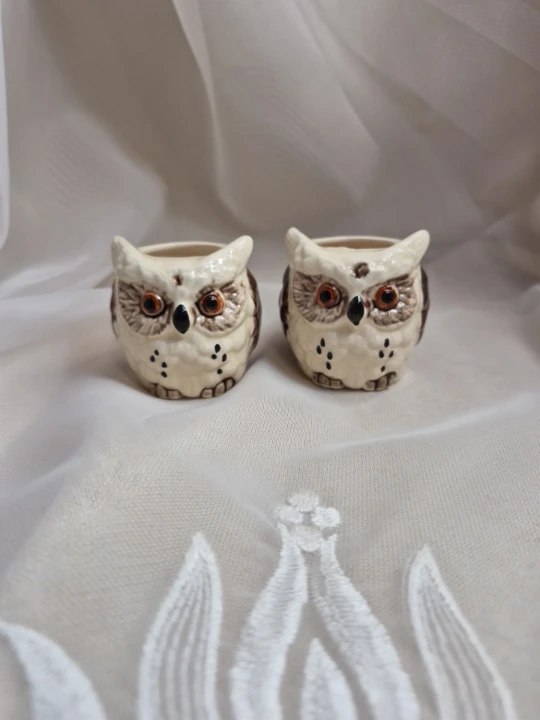 Pair of Vintage Ceramic Owl Toothpick etc. Holders