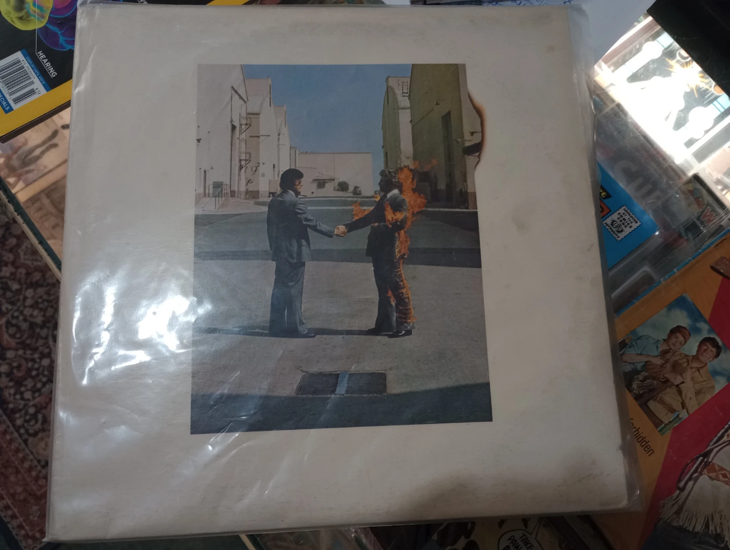 🪅Pink Floyd🍥 - photo 3