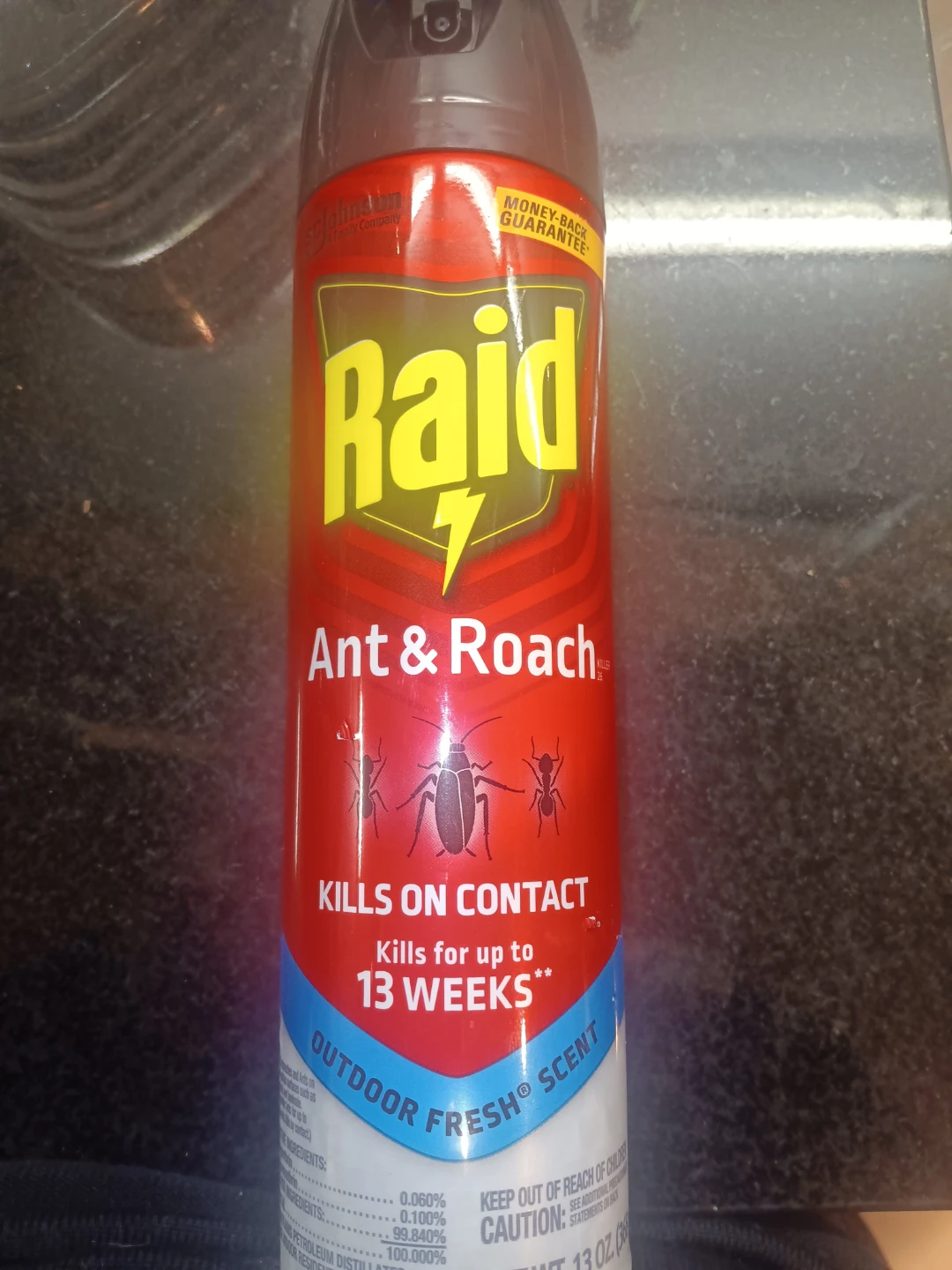 Raid Ant & Roach Killer Spray - Outdoor Fresh Scent