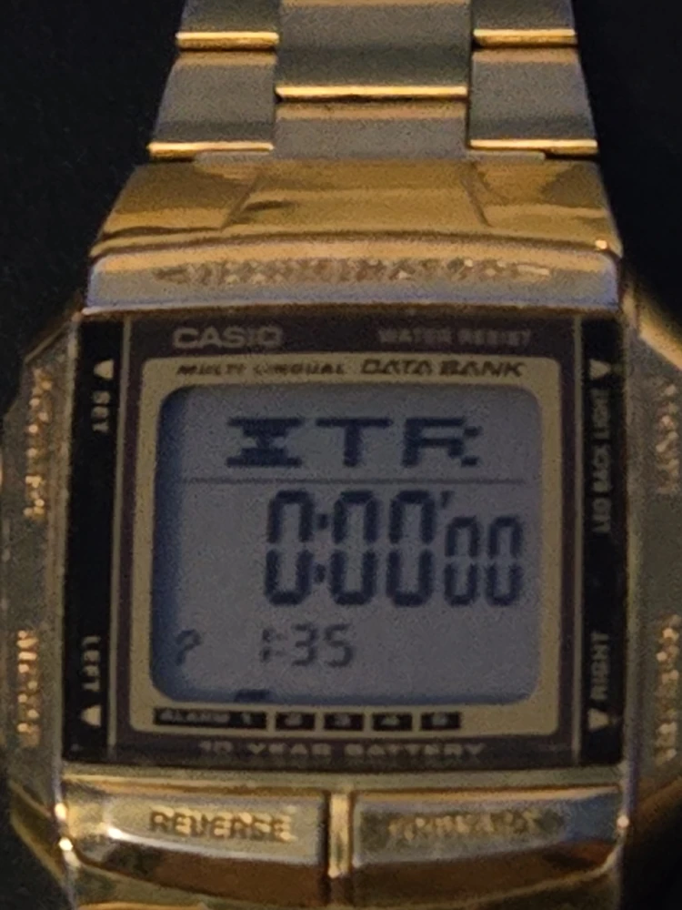 Casio DS-360 Data Bank Watch - photo 2