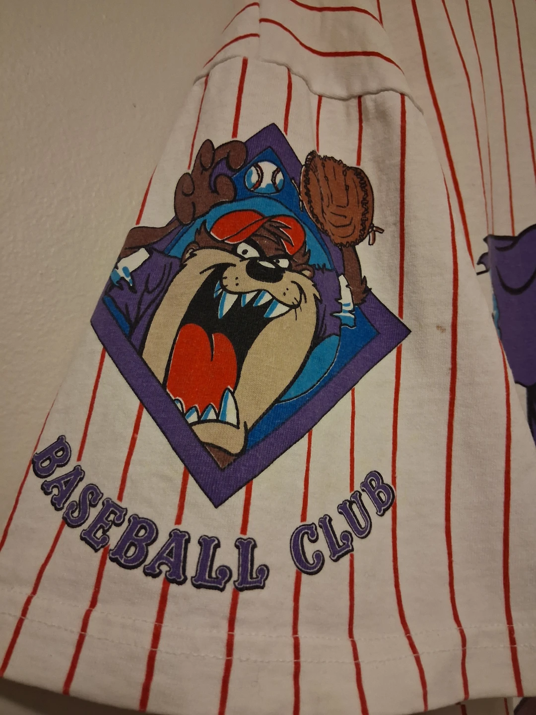 Vintage Tazmanian Devil Baseball Jersey - photo 2