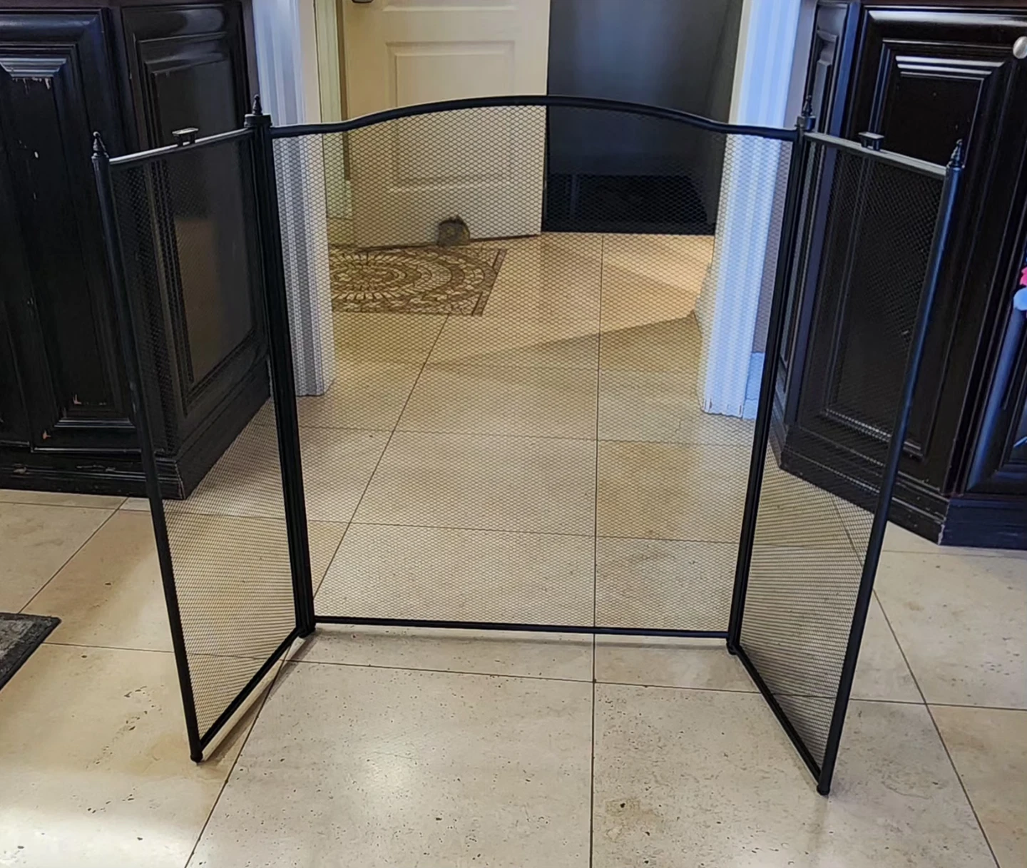 Fireplace Screen with Arched Top - photo 2