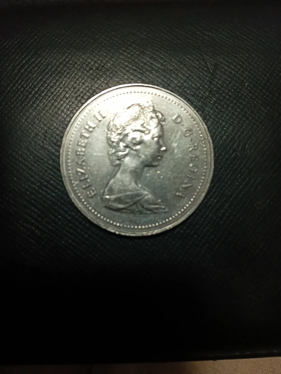 1976 Canada Dollar Coin - photo 2