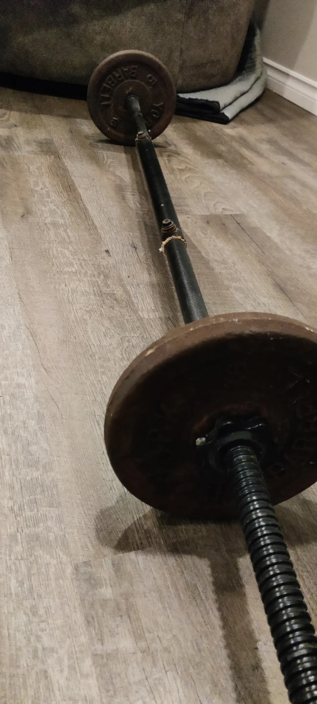 Barbell 10kg plates (22 lb)